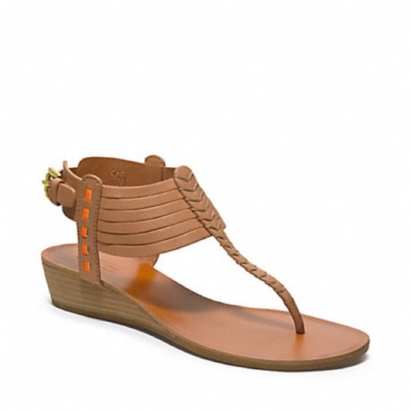 Coach Shoes - Coach | India Gladiator Sandals Sz 8 Q1888 NWOT